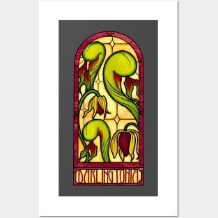 Darlingtonia Stained Glass Posters and Art